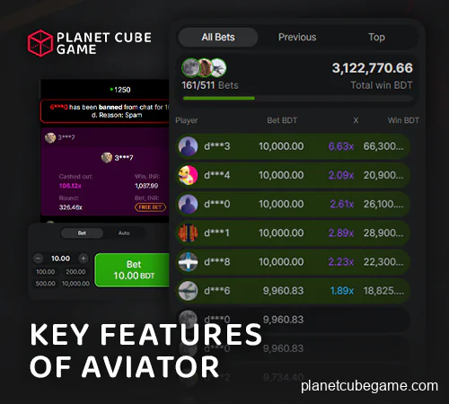 Aviator game interface details